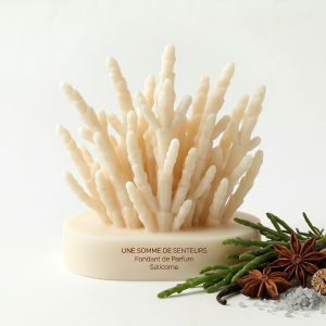 Fondant Salicorne